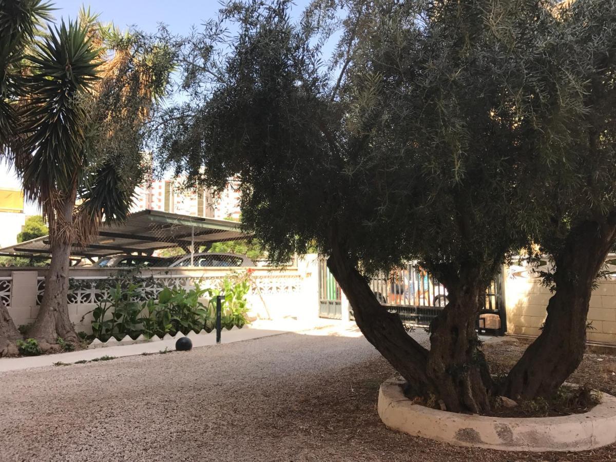 Apartamento En La Playa - Alicante, Costa Blanca - Los Olivos Exterior foto